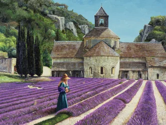 Lavender Picker, Abbaye Senanque, Provence